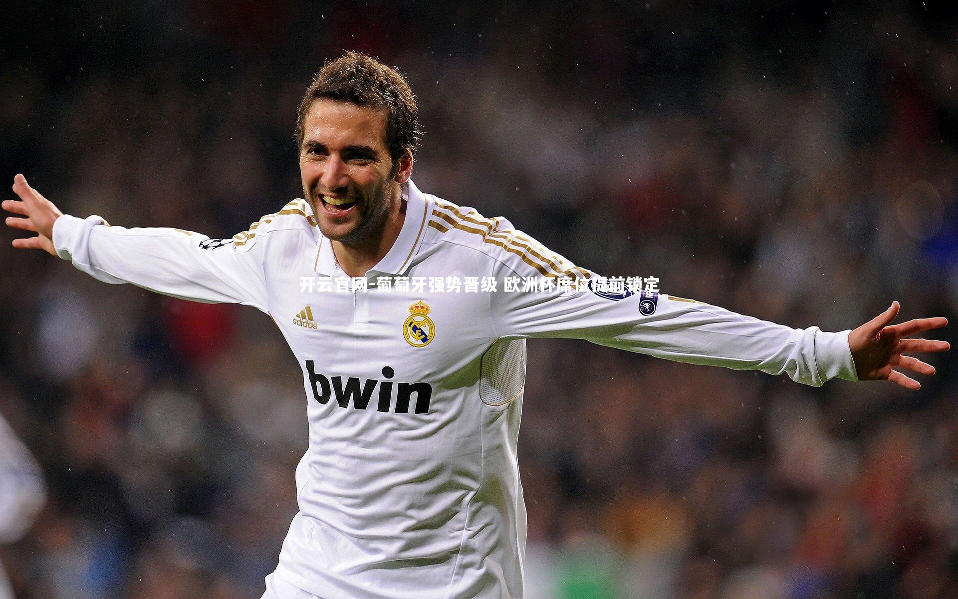 开云官网-葡萄牙强势晋级 欧洲杯席位提前锁定